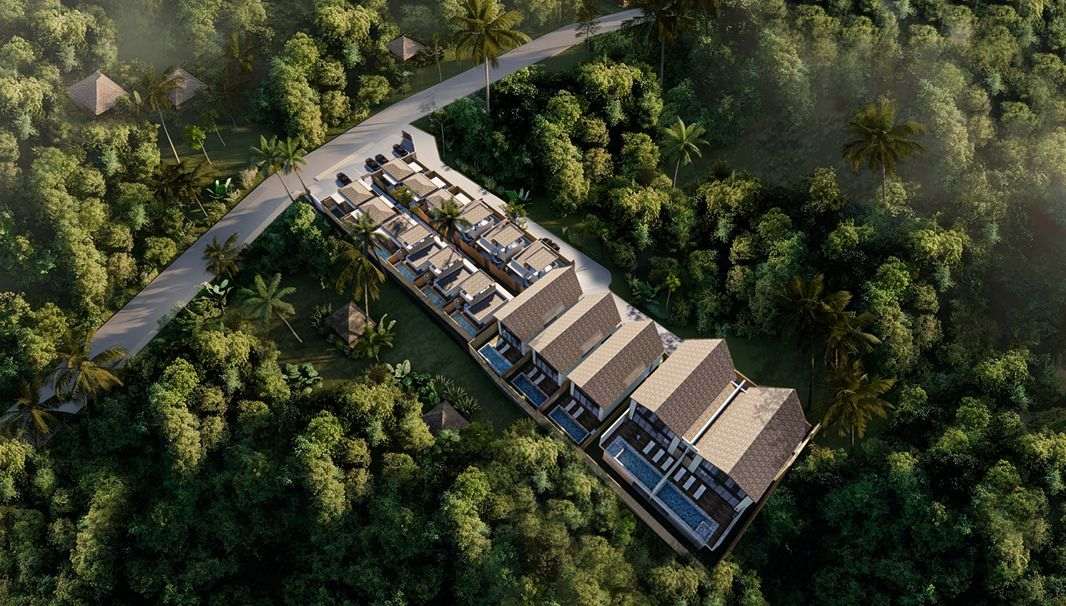 Aerial render of the residence and its service lane